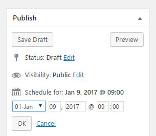 Wordpress publish settings. WordPress training.