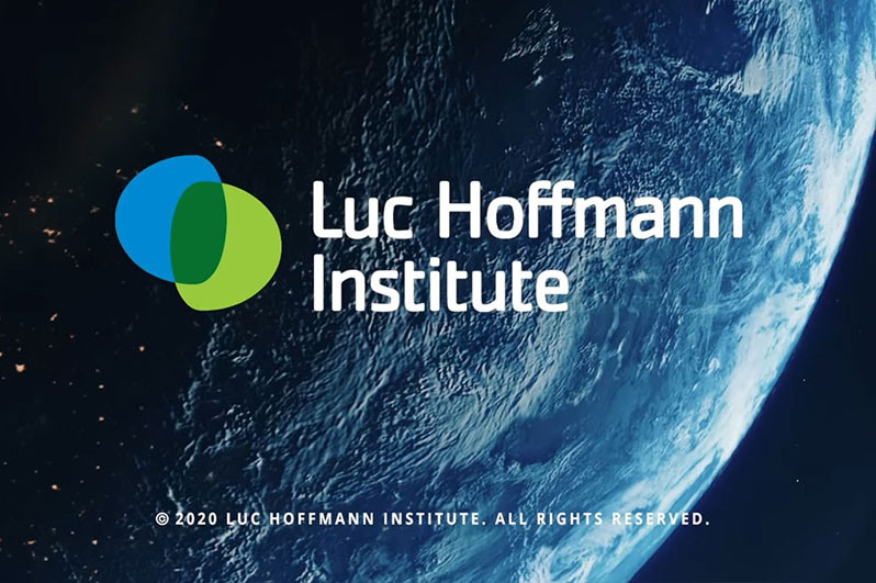 New Client, The Luc Hoffmann Institute