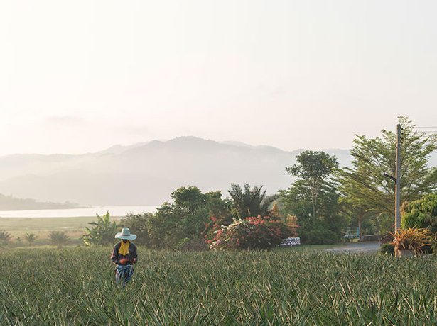 Website Design for Environmental agency 'Biodiversity revisited